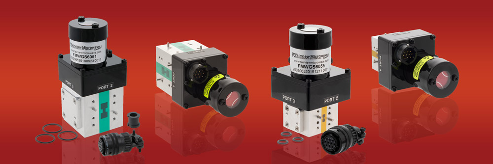 Image of Double ridge waveguide electromechanical switches